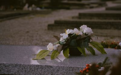 Éducation : vie privée et vie publique après la mort